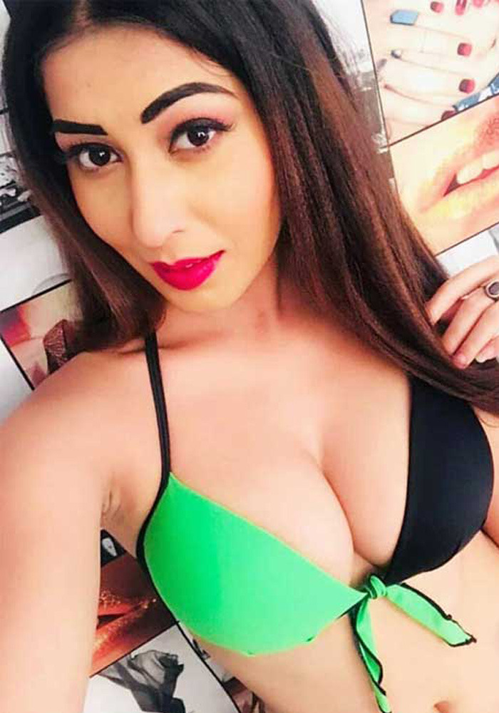 Jaipur Call Girl Service